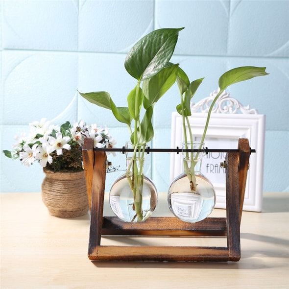 Glass and Wood Vase Planter