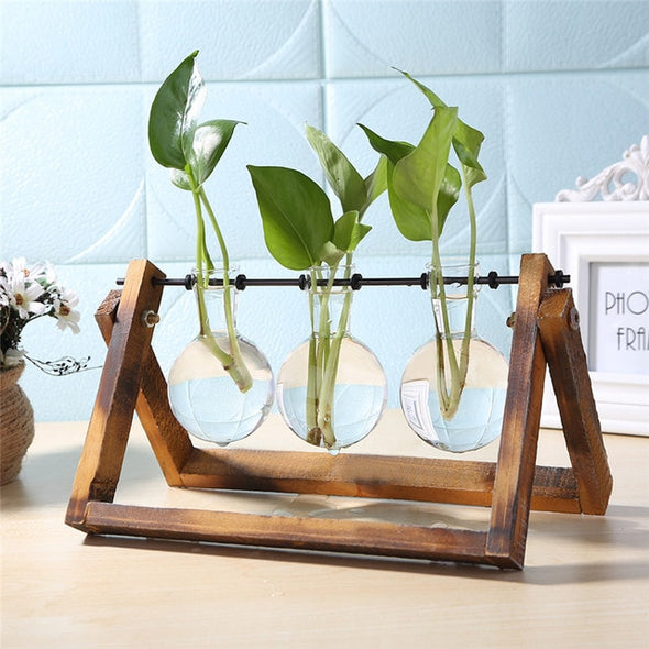 Glass and Wood Vase Planter