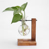 Glass and Wood Vase Planter