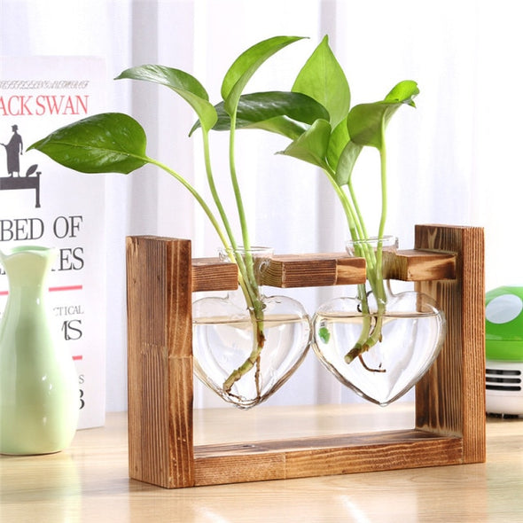 Glass and Wood Vase Planter