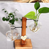 Glass and Wood Vase Planter