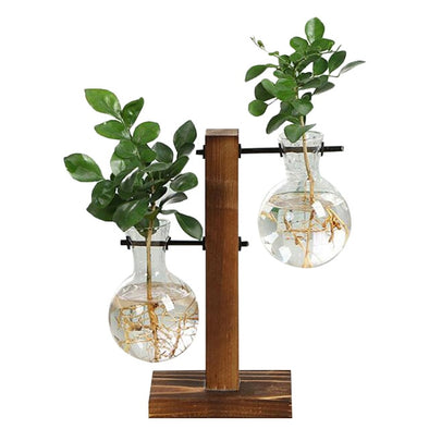 Terrarium Vasevase Decoration