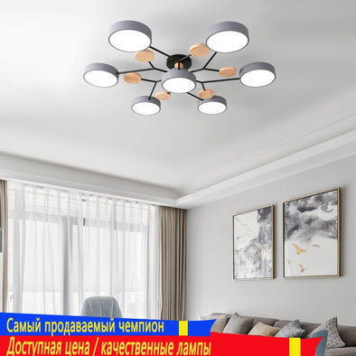Modern living room LED ceiling lamp bedroom